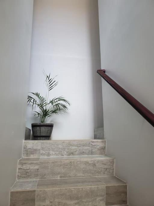 'The Solace' New Luxury Modern 1Bed 1Bath Apt. Portmore Extérieur photo
